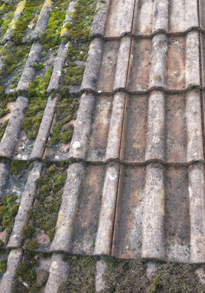 before and after roof cleaning image